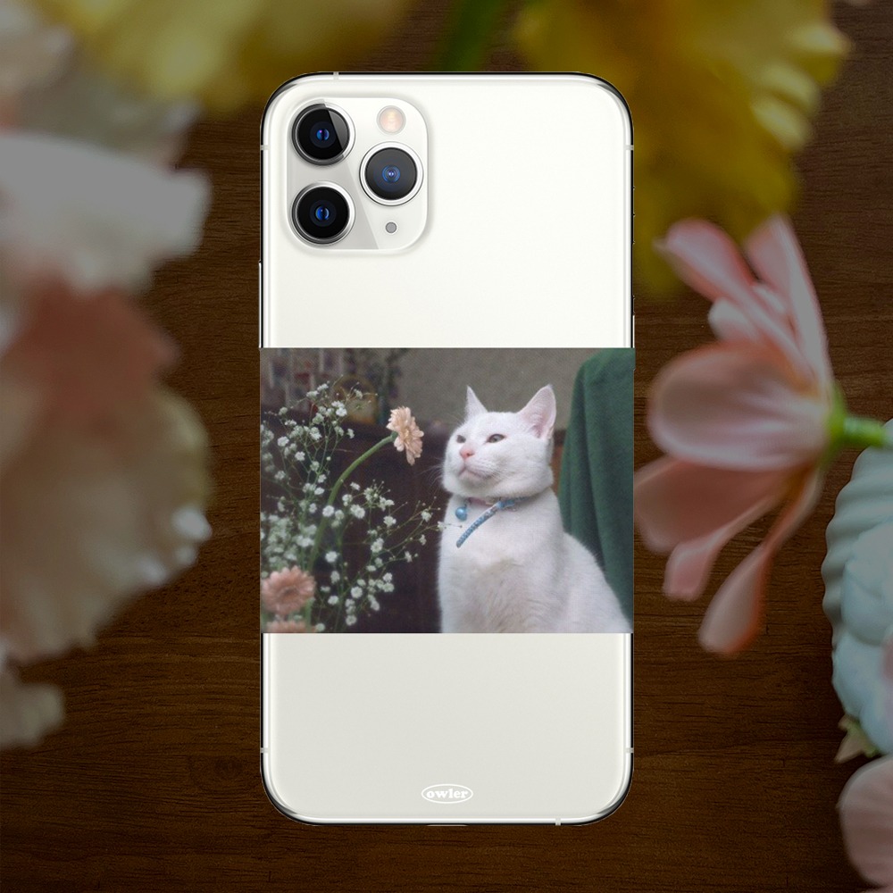 [당일출고/MADE] 플라워 캣 고양이 배경 감성 투명 아이폰케이스